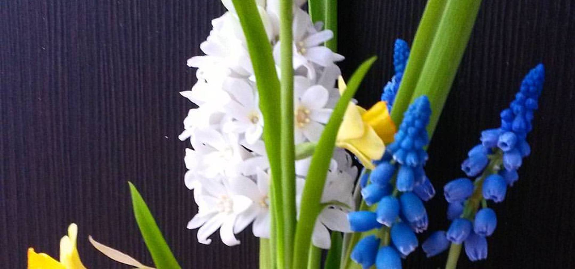 <q class='-first'>Орхидея</q> школа лепки цветов из полимерных глин