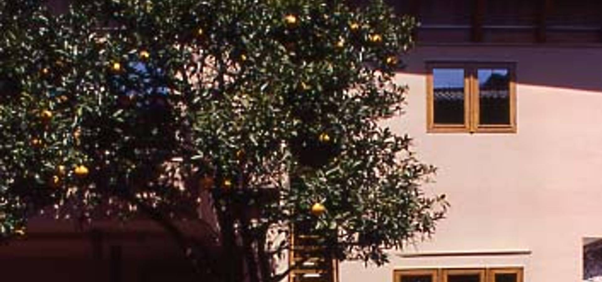 和風住宅 書院と民家の融合 東大和の家 東大和市 Homify 和風住宅 書院と民家の融合 東大和の家 東大和市 Homify