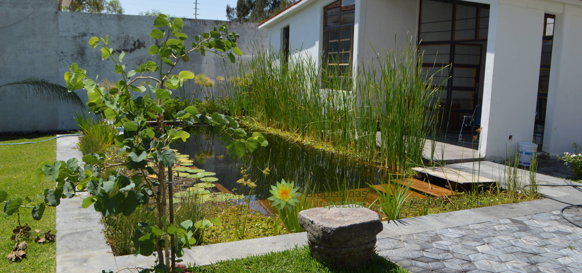 Biopiscinas Nadar En Agua Viva Homify