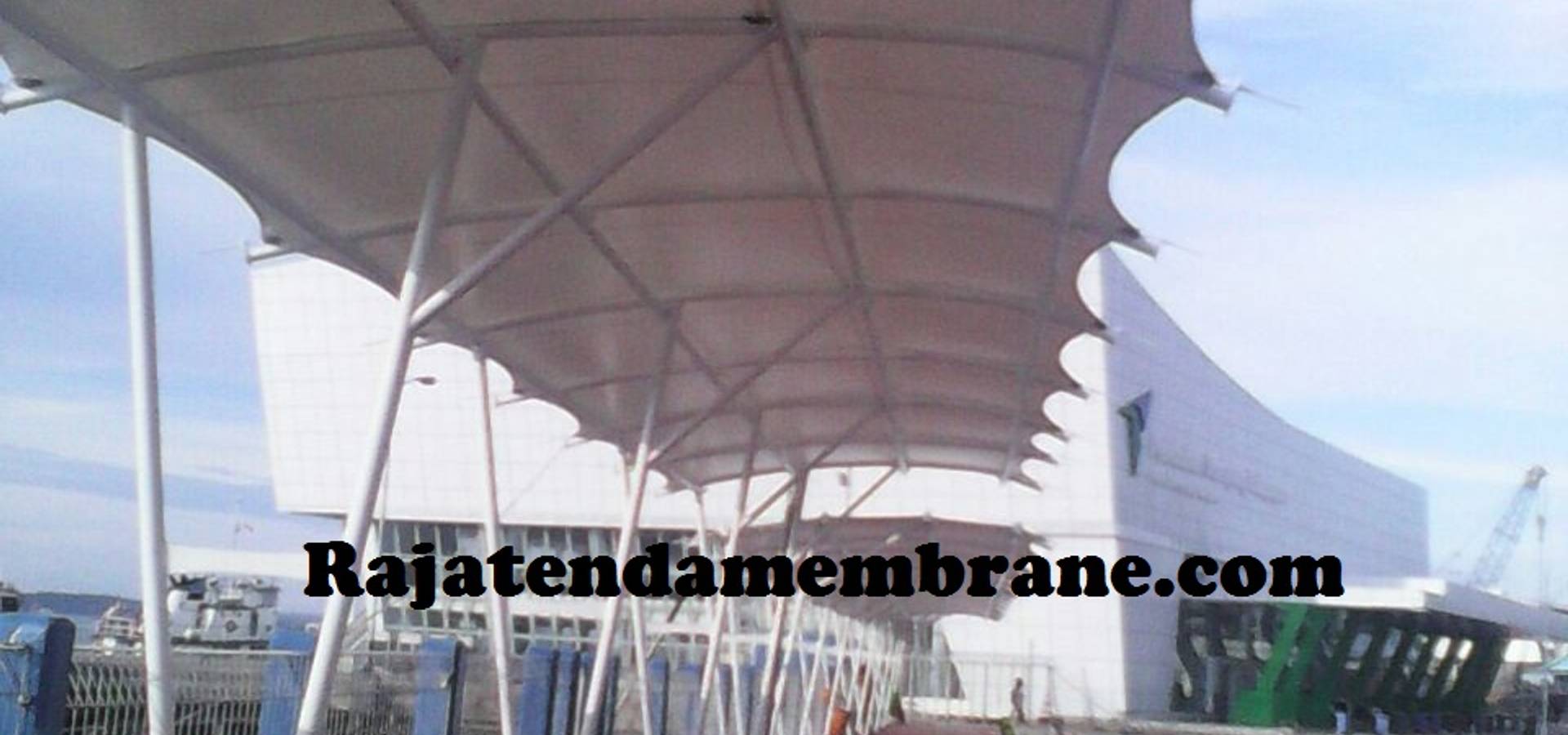 Raja Tenda Membrane