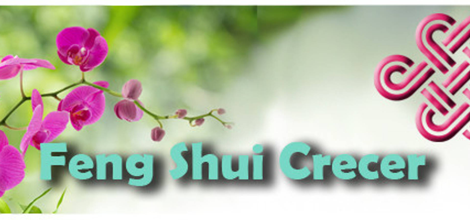 Feng Shui Crecer