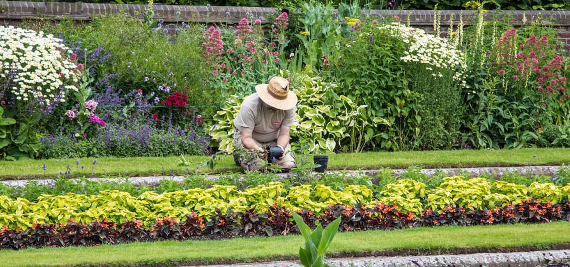 Right Gardeners Reading