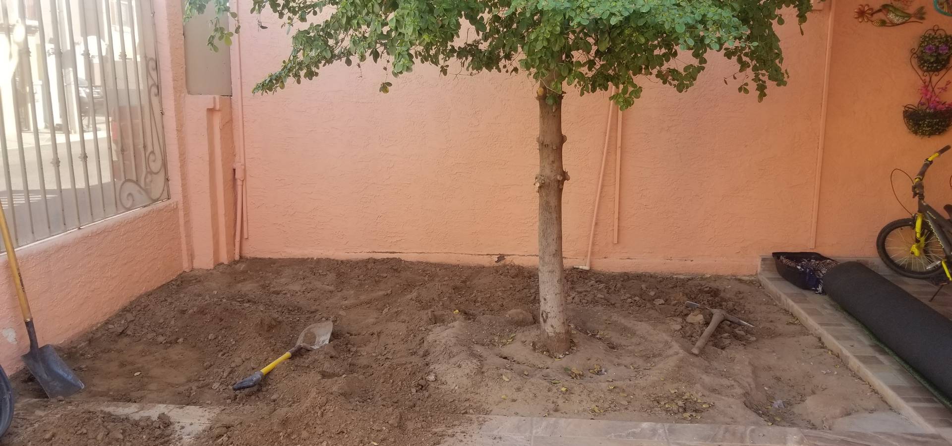 🌳Servicios de jardinería Torres 🌳