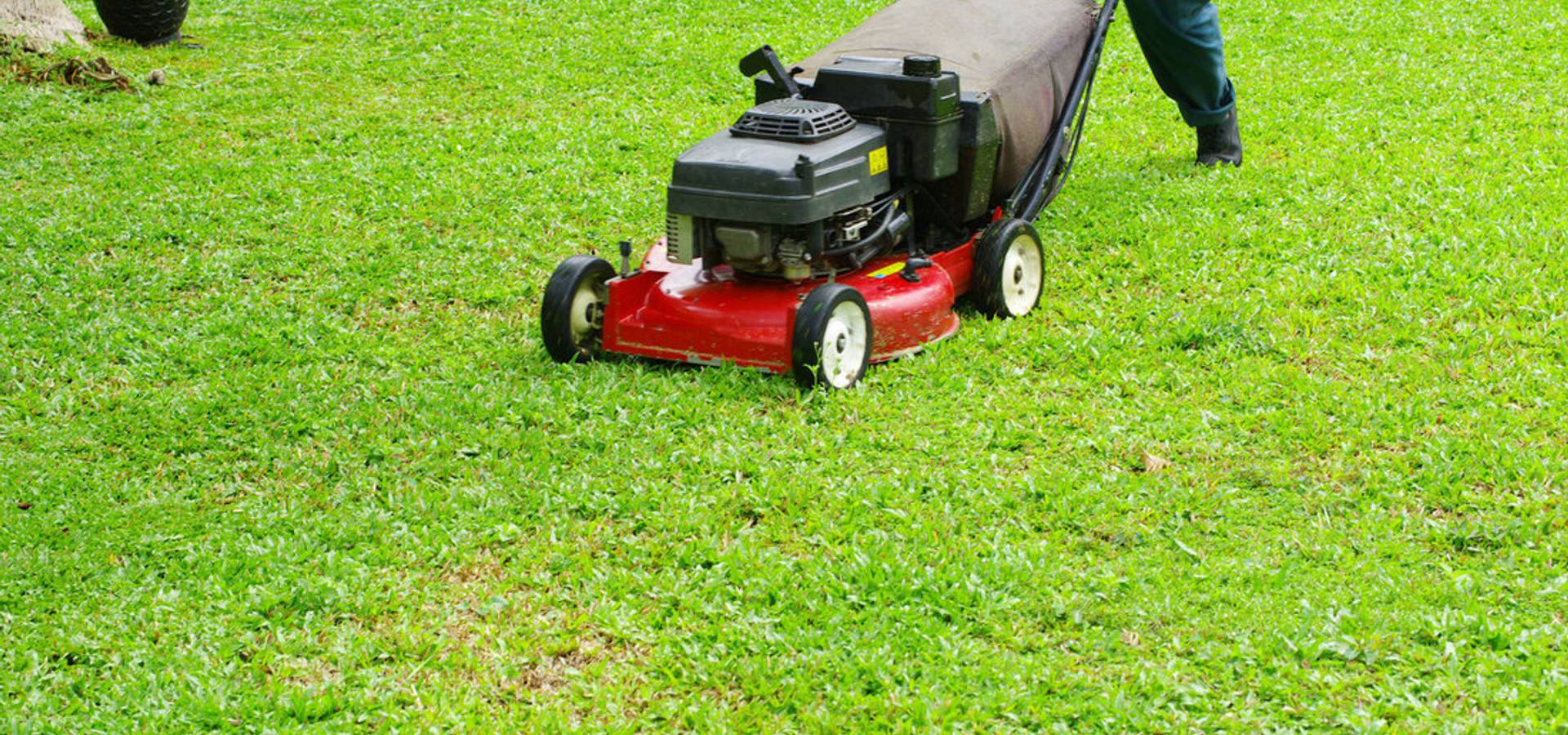 Jacksonville Lawn Service