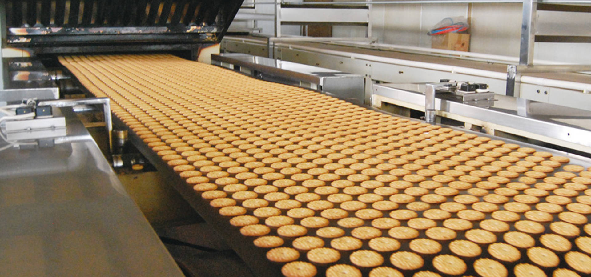 biscuit manufacturing machine homify