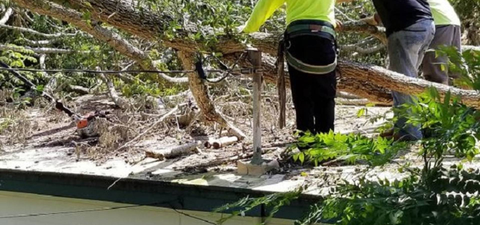 Abilene Tree Trimming