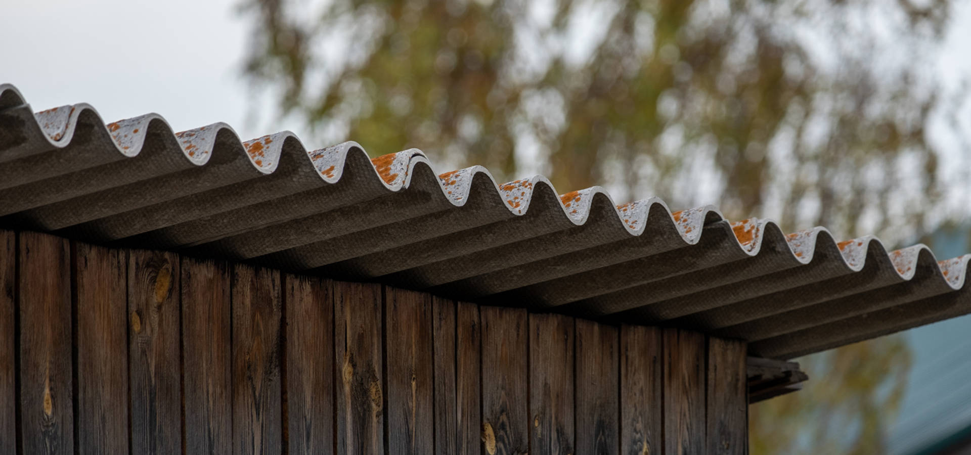 Asbestos Removals