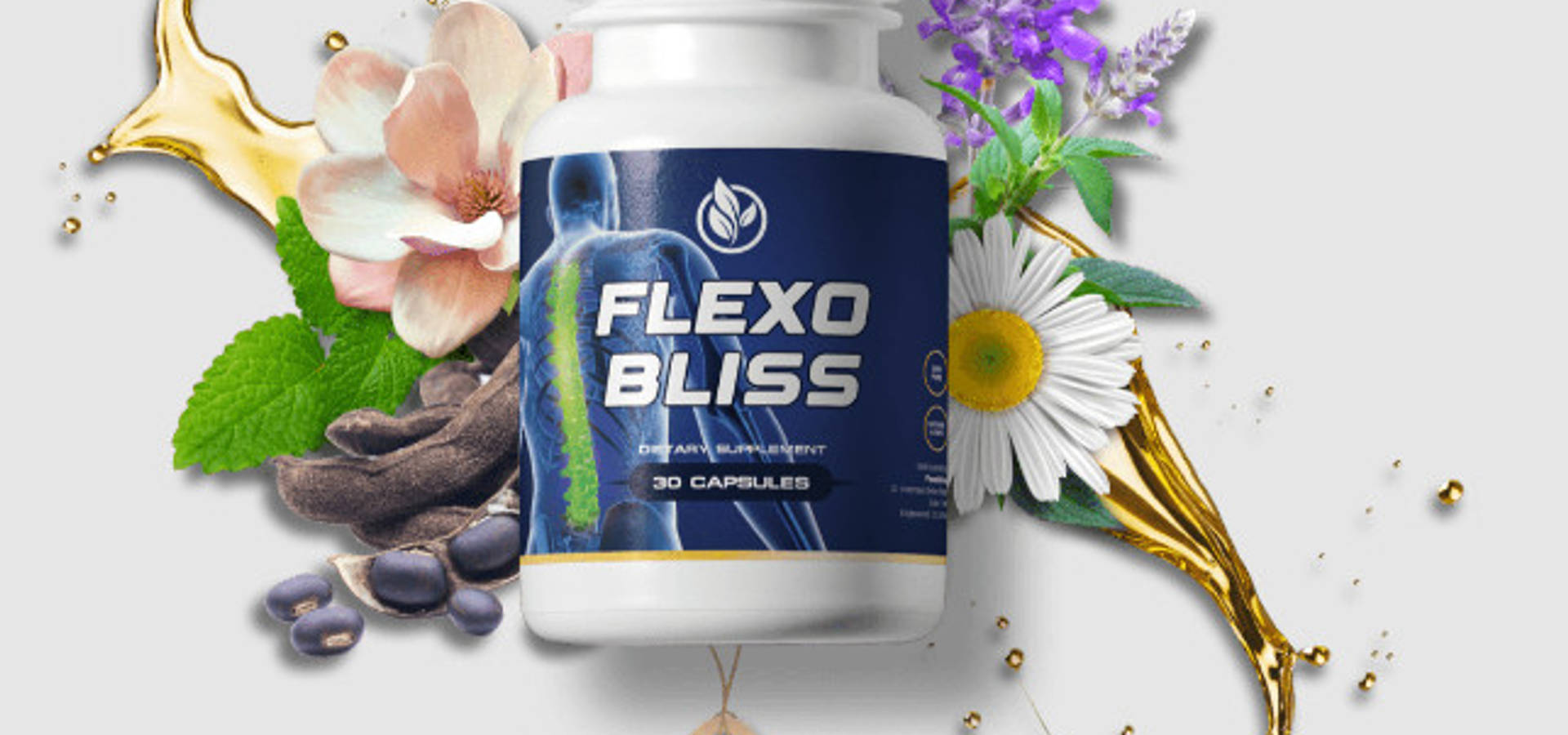 Flexobliss1