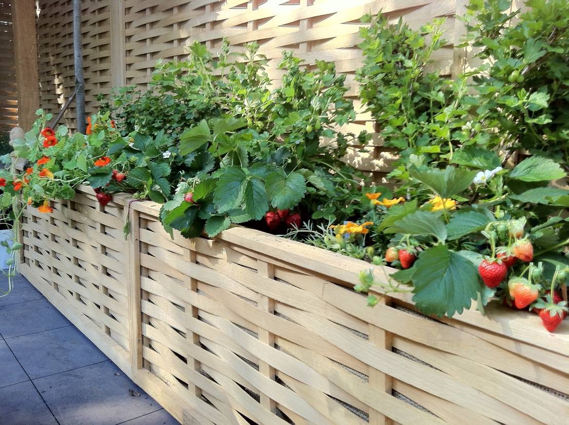 15 jardineras que se verán fabulosas en patios grandes y pequeños