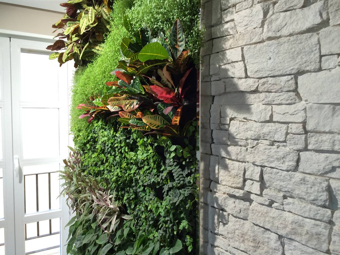 Jardin Vertical En Vivienda Particular De Sevilla By Terapia Urbana Diseno De Jardines Verticales Homify
