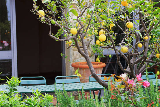 Het hele jaar een mooie tuin. Dit moet je doen! | homify ...