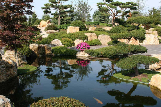 build your own garden pond homify