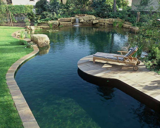 Der Schwimmteich 15 Gründe für den Bau eines Biotops mit Wellness