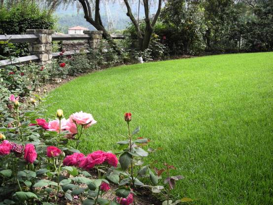 10 expert tips for an impressive garden lawn | homify | homify