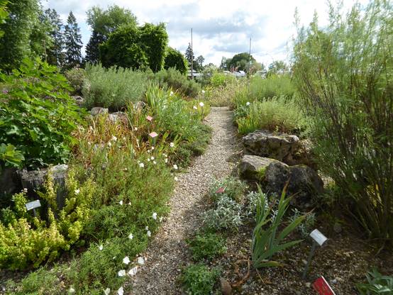 Garten Mediterran Gestalten So Leicht Geht S Homify