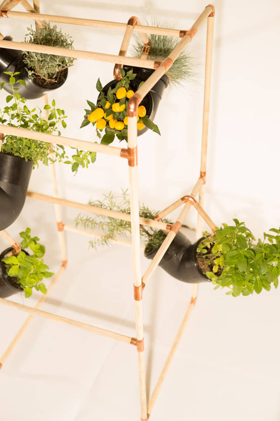 Cómo hacer un huerto vertical en