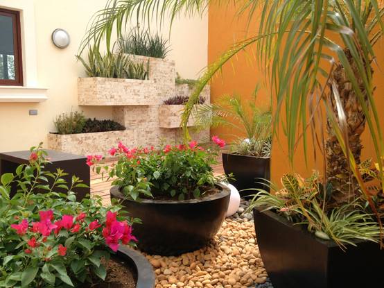 Criticar Inspector curva Cómo hacer un jardín bonito en tu casa ¡fácil y rápido! | homify