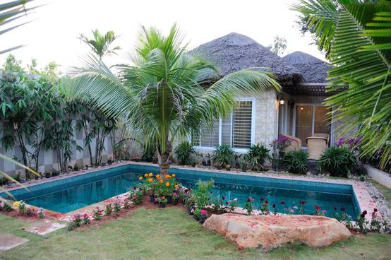 19 Jardincitos preciosos y muy fáciles de copiar en casa | homify