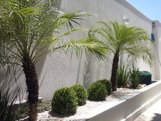 Patios con cemento: ¡17 ideas para que se vean preciosos!