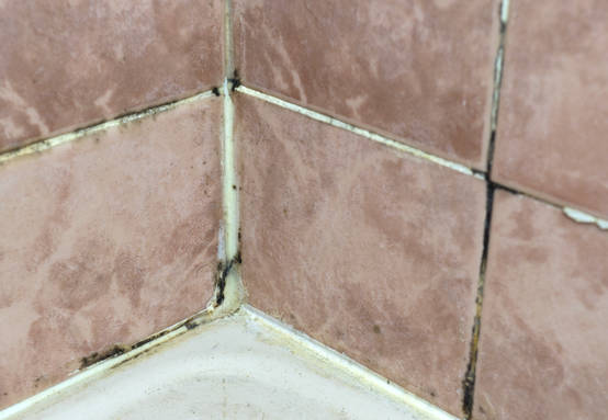 banyo fayanslarini her zaman temiz