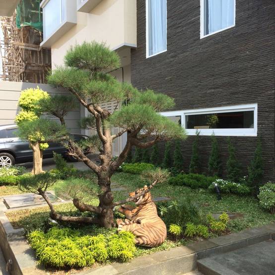 5 Cara Membuat Taman Minimalis di Lahan Sempit | homify