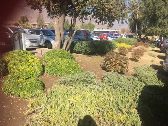 Paisajismo sustentable, jardines y productos orgánicos en Casablanca