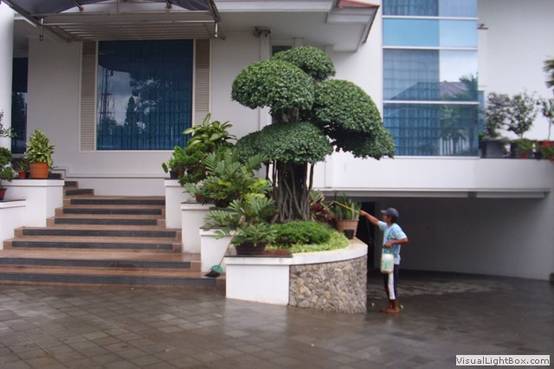 11 Cara Mudah Merawat Taman Depan Rumah Sederhana di Lahan ...