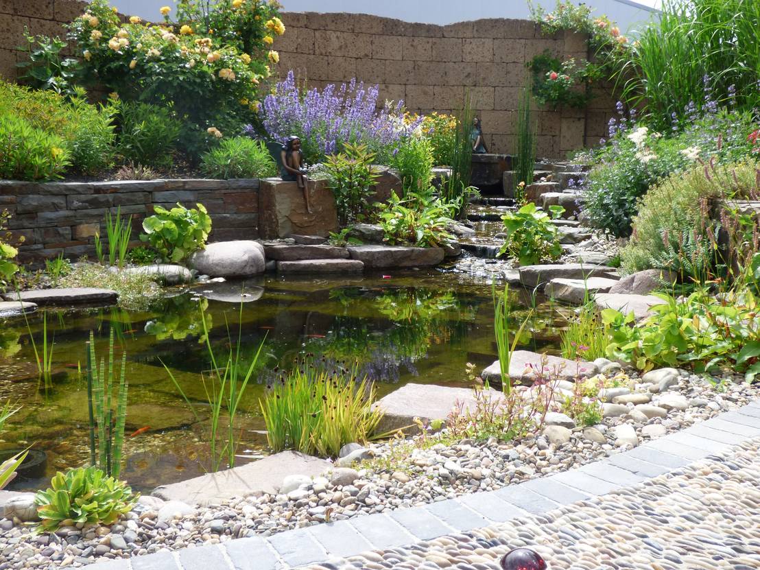 ¡Un estanque en tu jardín! - 10 aspectos a tomar en cuenta