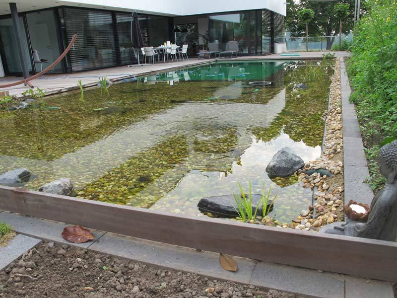 Design Bio Pool von Nagelschmitz Garten- und ...