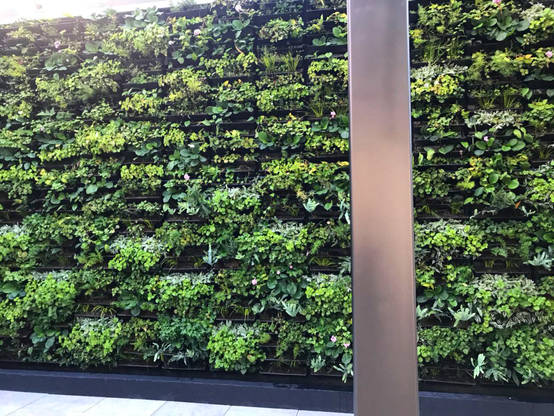 Ideas para decorar las paredes del jardín | homify