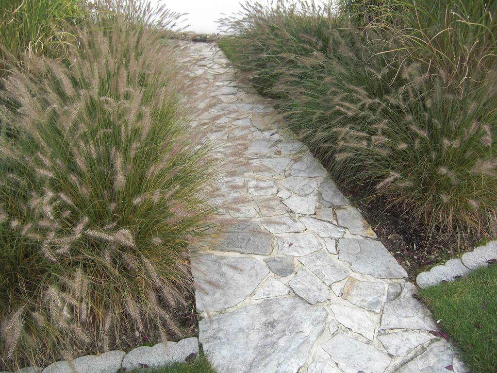 Gräser-und buchsgarten moderner garten von planungsbüro stefan laport