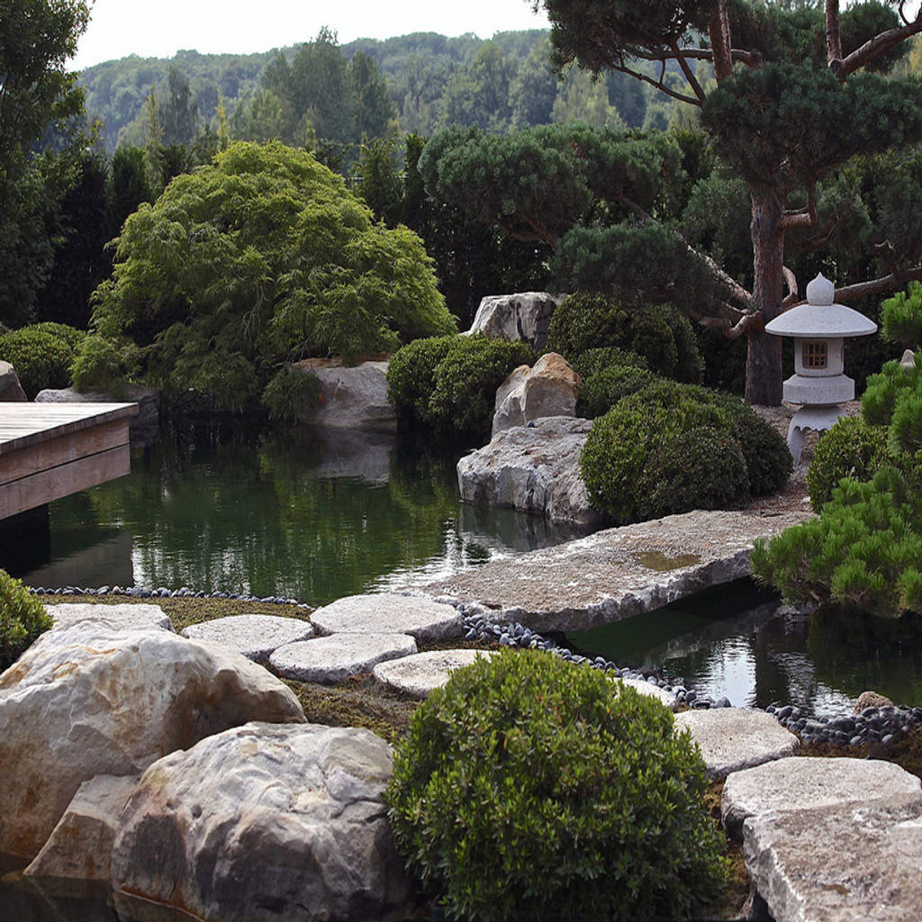 Japangarten in der nähe von leipzig asiatischer garten von kirchner