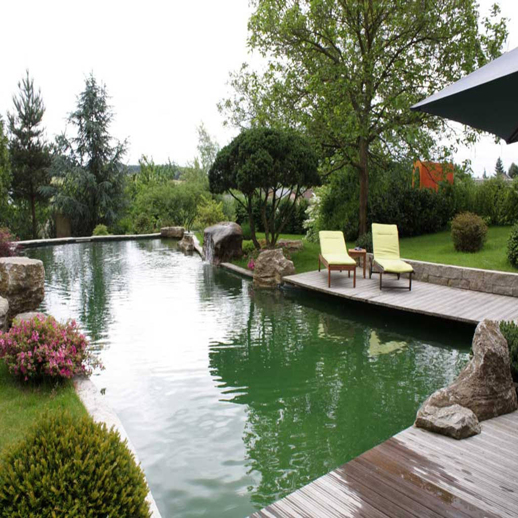 Schwimmteich in luxemburg von kirchner garten & teich gmbh modern homify