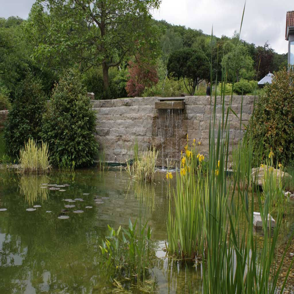 Saunabad großer teich gmbh