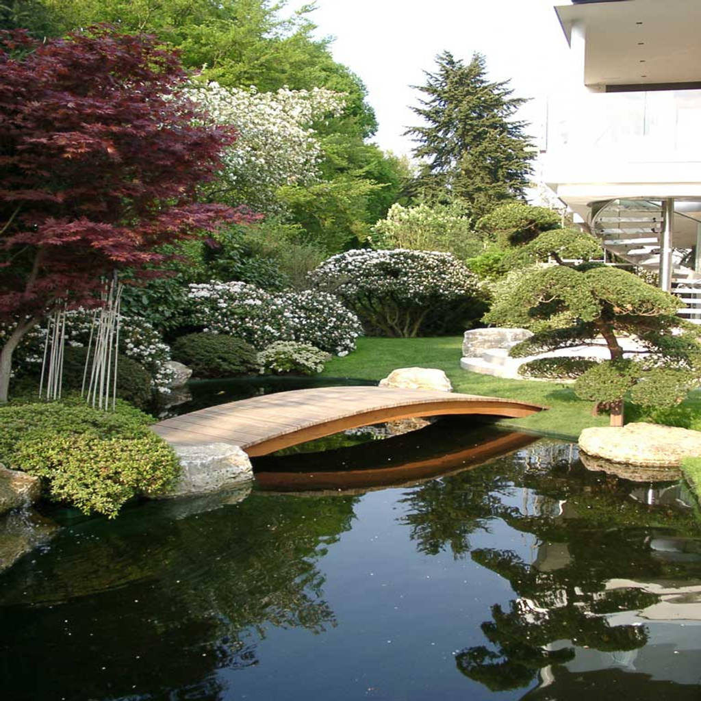 Koiteich in marburg, kirchner garten & teich gmbh homify