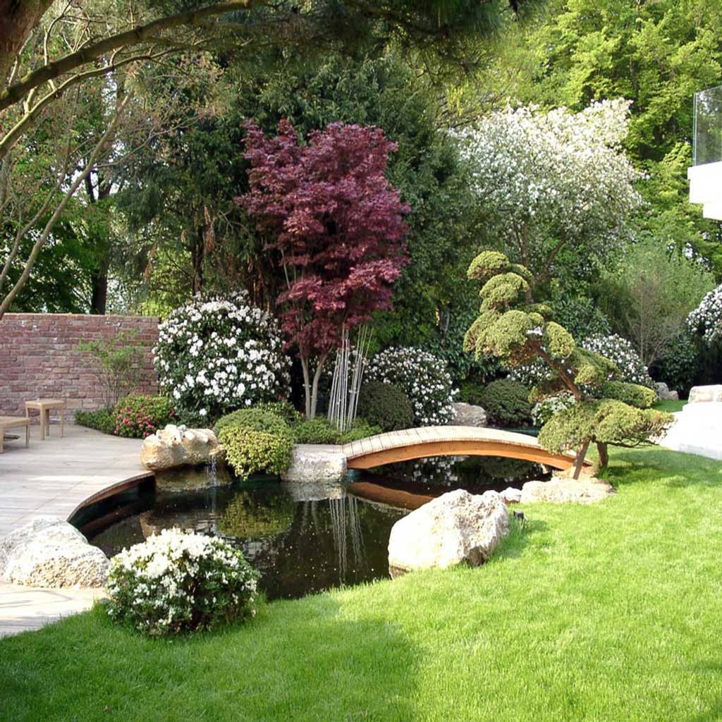 Kirchner garten & teich gmbh jardin moderne homify