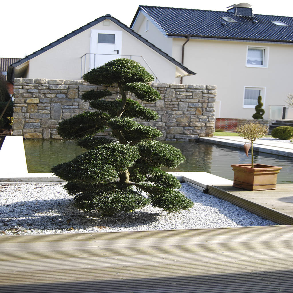 Oleh Stein Garten Design E K Modern Homify