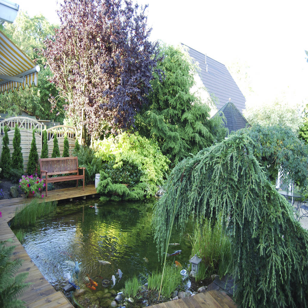 Teiche, stein/garten/design e.k homify