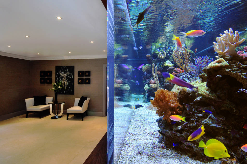 Footballer S Pad Aquarium Moderne Wohnzimmer Von Aquarium