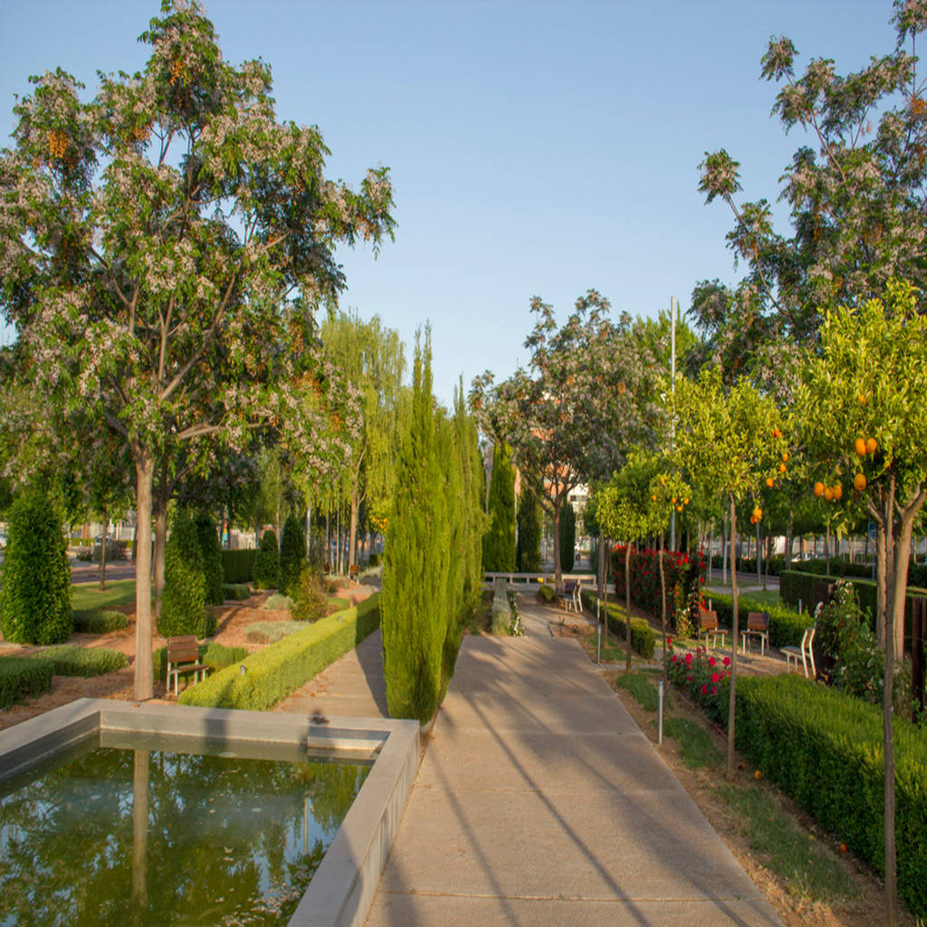 El jardín de los sentidos, vam10 arquitectura y paisaje homify