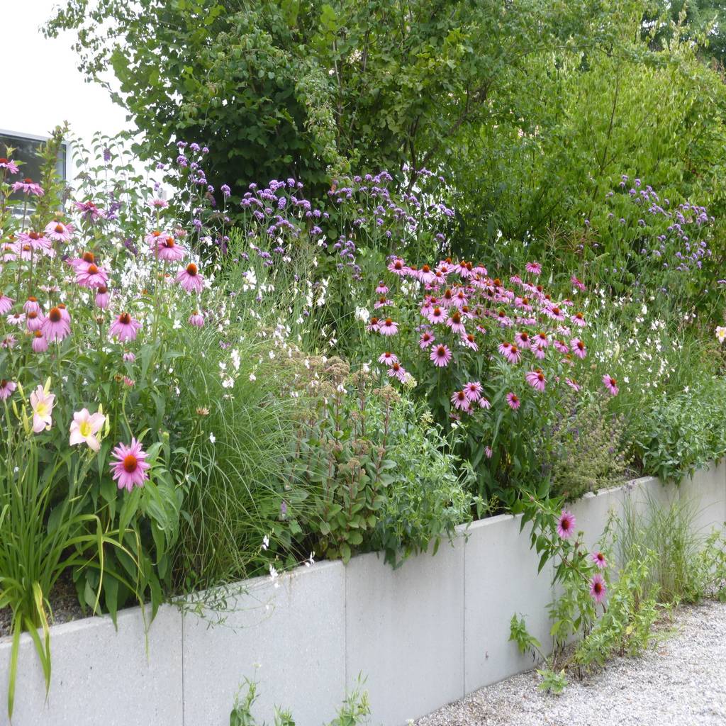 Moderner garten bilder gartengestaltung münchen gräfelfing