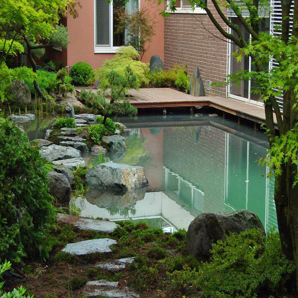 Japanische Muschisaft Outdoor Onanieren