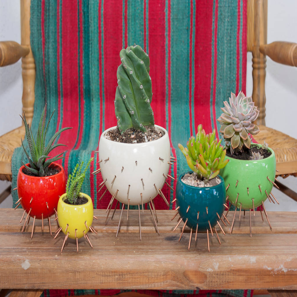 Maceta – modelo cactus | homify