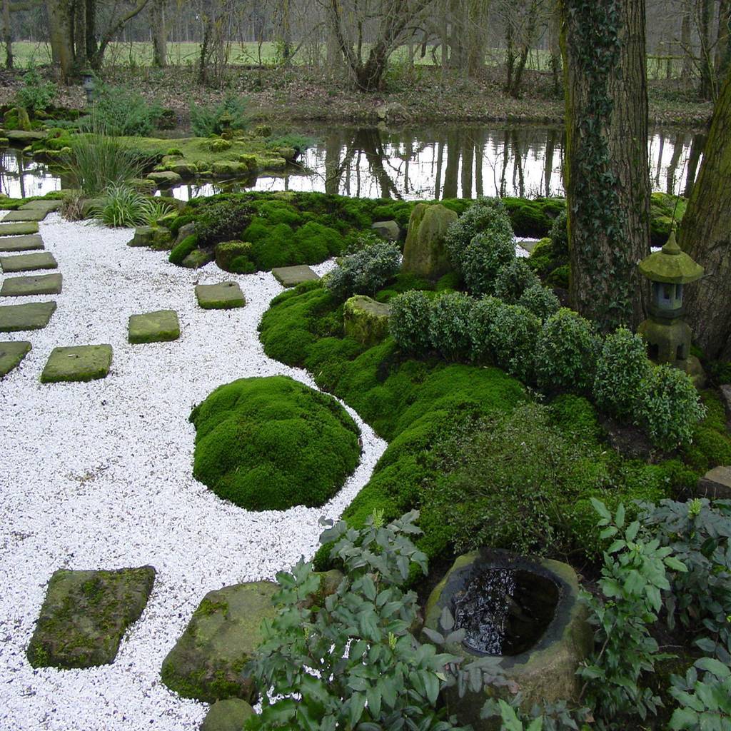Wasser im garten, tsukubai im moosgarten von zenkloster