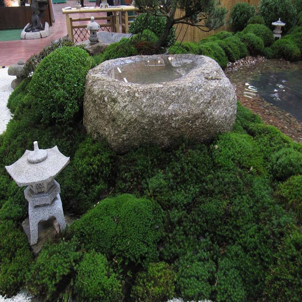 Japan-garten-kultur azjatycki ogród | homify