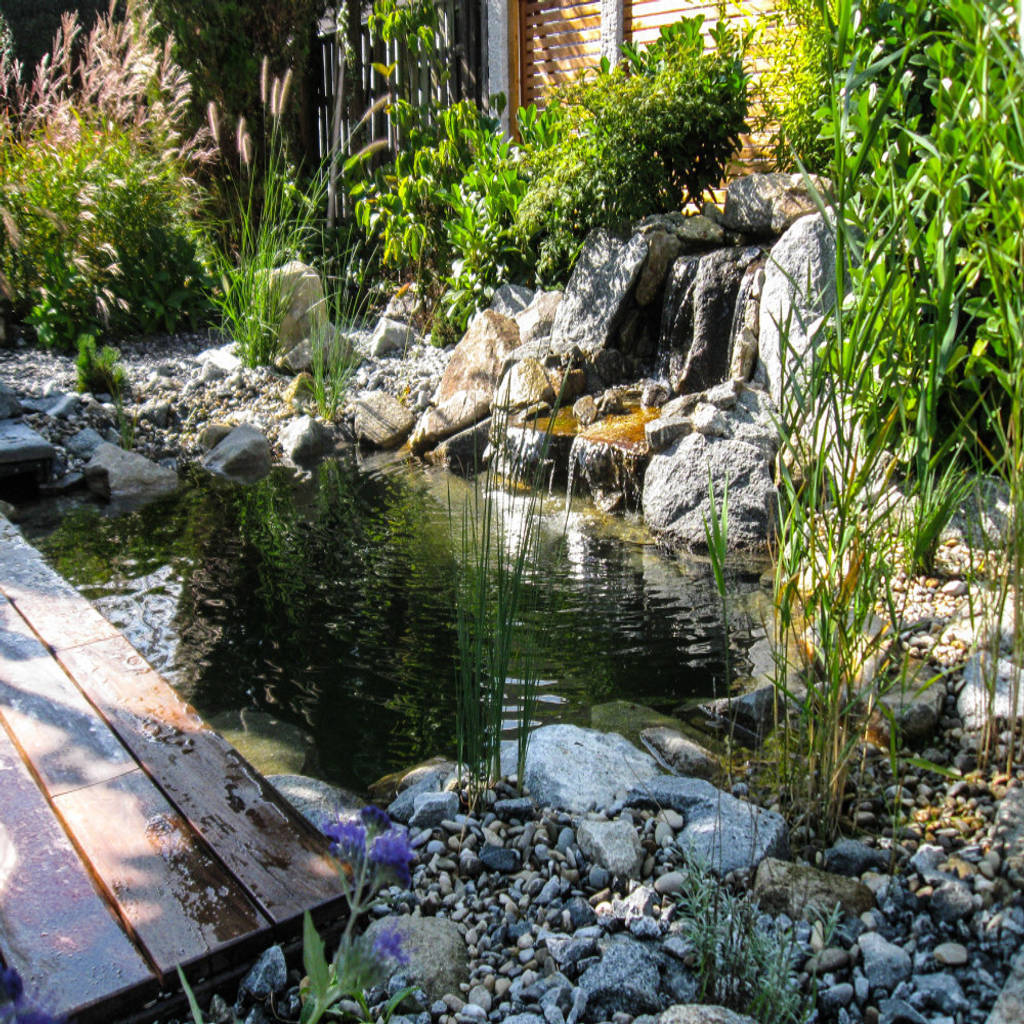 Urbaner garten im herzen nürnbergs moderner garten von -gardscape