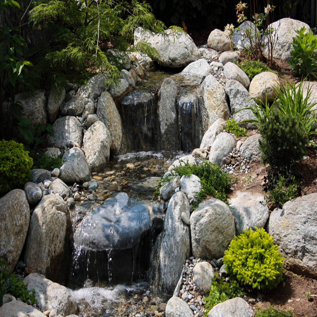 Designergarten im asiatischen stil gardscape private