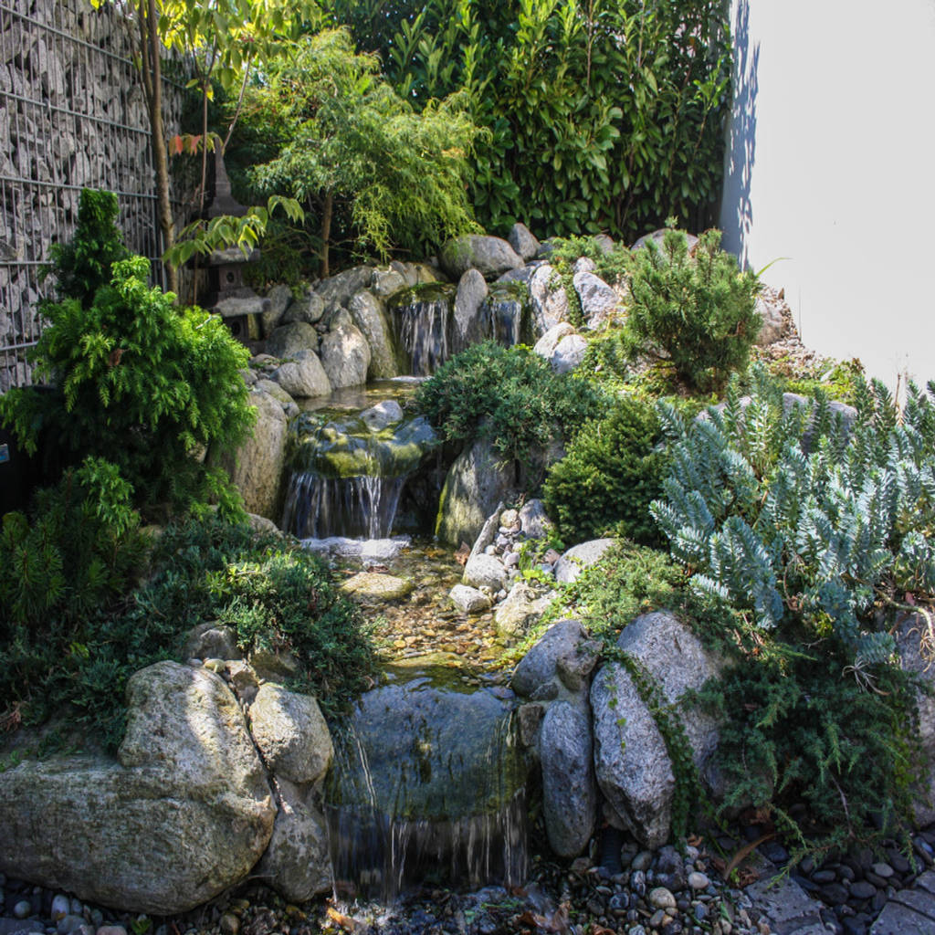 Designergarten im asiatischen stil asiatischer garten von gardscape