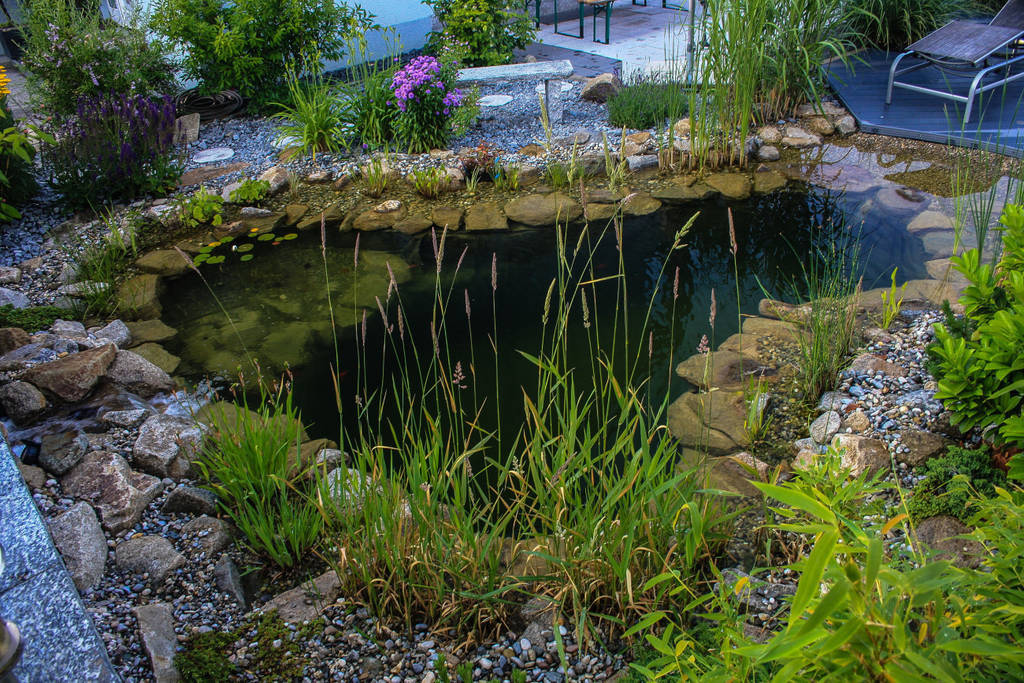 Jacuzzi mit gartenteich für ungetrübten badespaß, gardscape private
