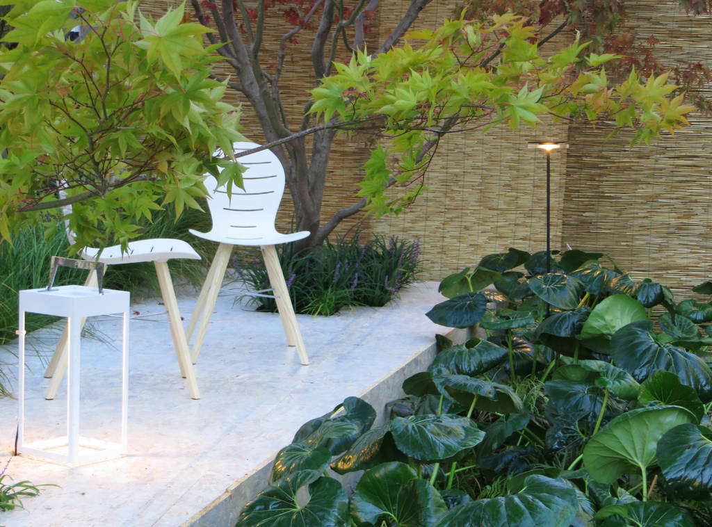 Farfugliando fra farfugium. allestimento per trifolia ...